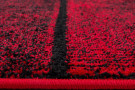 Kusový koberec Beta 1110 red