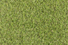 Travní koberec Camelia - UV FILTR - 15mm